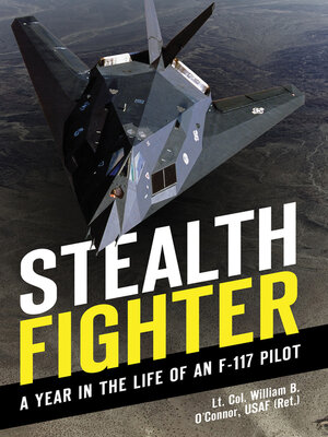 cover image of Stealth Fighter